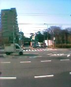 15���Ȃ����Ă����g���l��