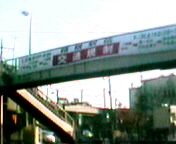 ���������w�`�̂�����