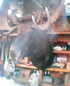 �g�i�J�C�̎�̔���