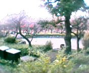 �r�����オ���Ă���