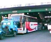 �W���C�A���c �o�X��Hino���H