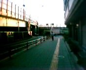 �����֓���