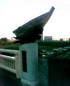 �D�̃����[�t�̈Ӗ��́H