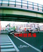 �y����~��؂�Ɛ�苣�n��