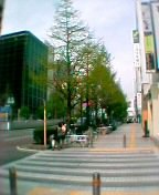 �΂ɐF�Â�������