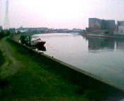 ��ǂ�ł������Ȃ�