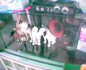 �r�N�^�[���̒u��