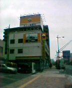 ���m�[���_�ސ�