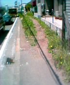 �����Ȃ����������