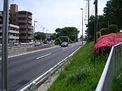 1���̕��ؓ�