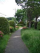 ���ؘe�̕���