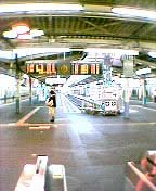 6:00�̏��c�}����w