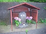 �������n��