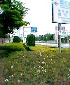 1���֍���