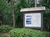 ���͐싴�r��