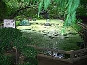 ���͐싴�r��