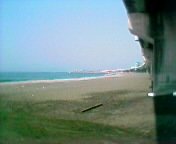 ���{�Â̍��l