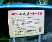 �݂���̖؃I�[�i�[��W