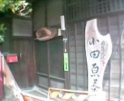 ���ی𗬊فH �Ŕ�