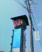 �w��x���o�Ă���