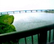 �C�ւ������܂�