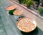 ���Ɛ��~��