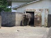 ���c���� ��