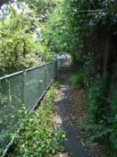 �p�ꂽ����