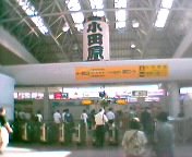 �w�ɂ�����`���E�`��