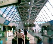 �V�����Ȃ������c���w