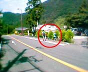 �U���e�q�Ƒ���