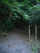 �b���ƌ��܂����V����