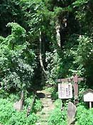 �����̊Ŕ�