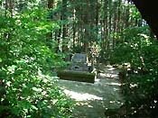 ���������̂���