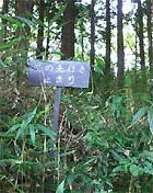 �s���~�܂�̊Ŕ�