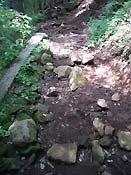 ��������ĂȂ��Ƃ���