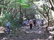 �n�C�J�[�R�c