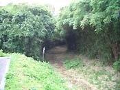 �É����̋���