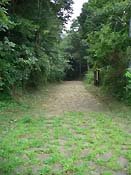 ���ނ���