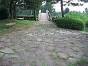 �����ؘe�̕������Ώ�