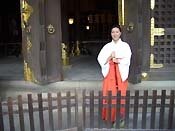 �ޏ�����