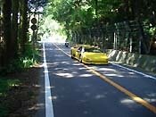 �����̃f�B�A�u��