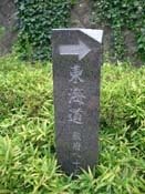 ���C���̔�