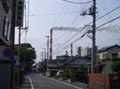 �����H��̉�