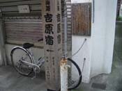 �g���h�̔�