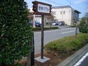 �I�񂵂Ă�������