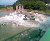 �x�m��͑����ɂȂ��Ă�