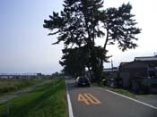 �y�艈���̏�����