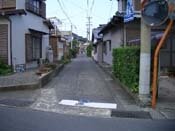 �~�X�R�[�X�̘H�n