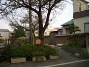 �����L�d�u��̐�v�L�O��